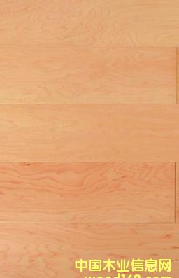 �؃r��������(y��ng)��(y��u)�|(zh��)�ӗ����ӌ�ľ��(f��)�ϵذ����m�ϳ���