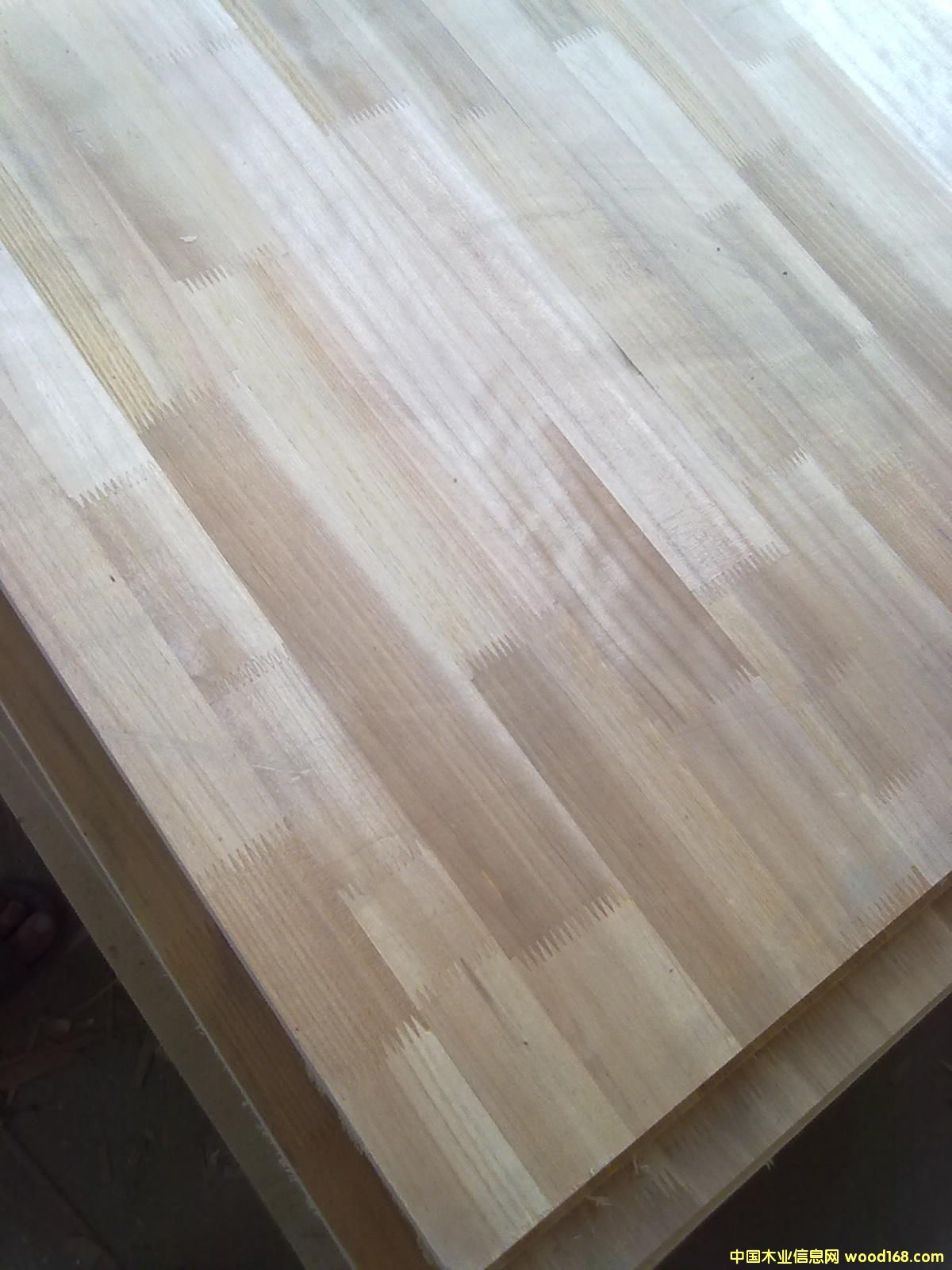 15mm�Nɼľָ��Ƥ