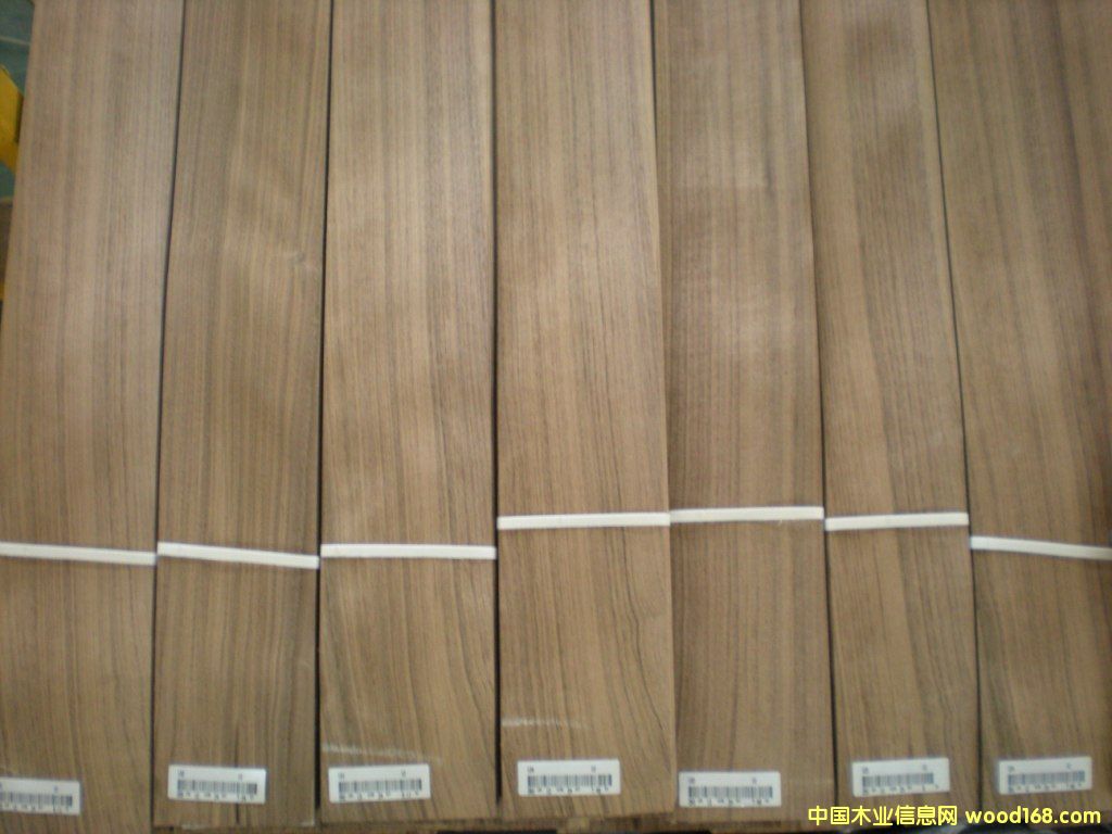 �ں���ľƤ��ֱ�y����Ԕ��(x��)��B