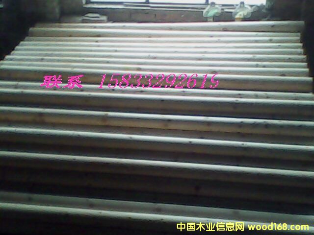 ������ľ��