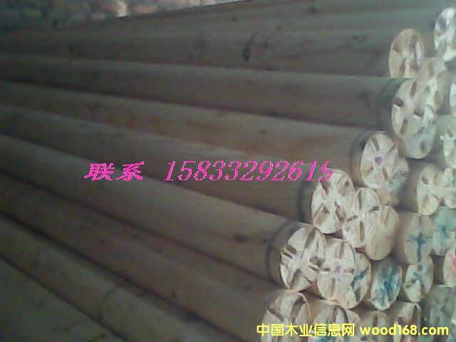 ������ľ��