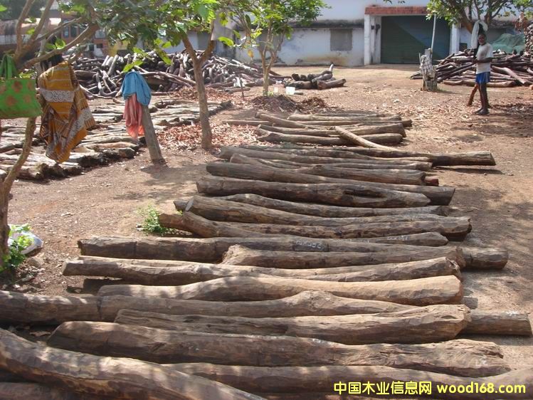 ӡ��С�~��̴