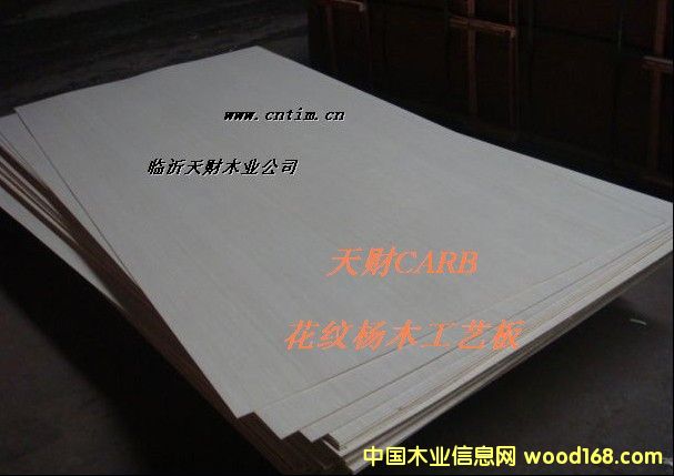 ���y��ľ ��ˇ��