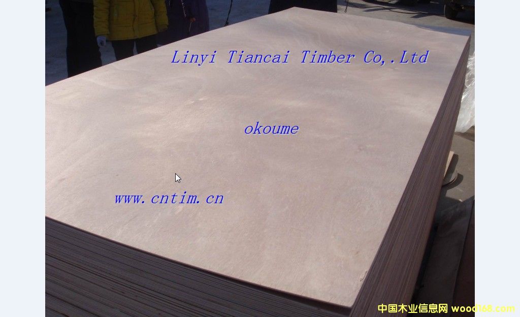 �W�����T��