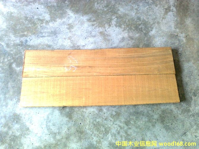 ������ľ�ذ����ϵ�Ԕ����B