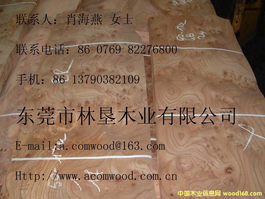 ��ľ��(sh��)��