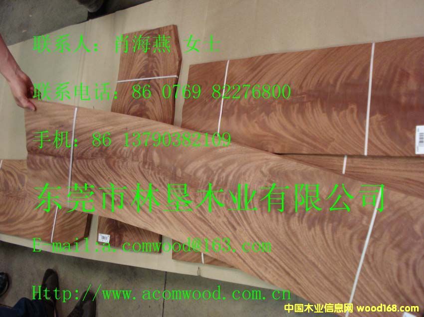 �һ�о��(sh��)�