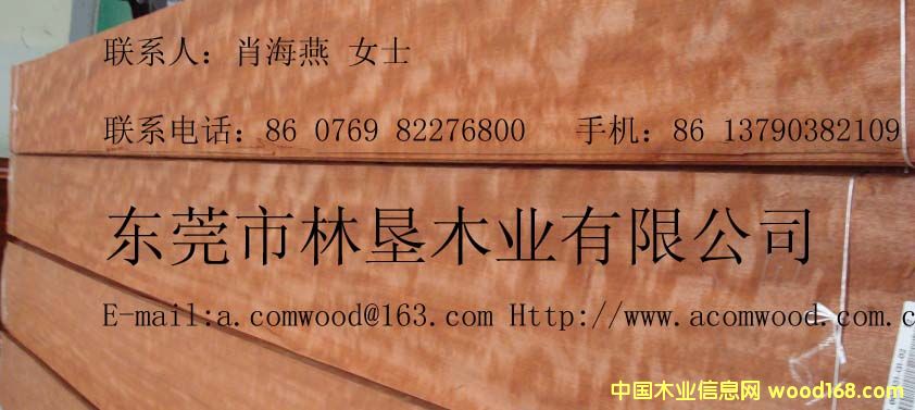 ��Ӱ������