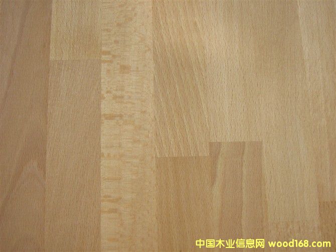 ��ľB��(j��)��Beech character��Ԕ��(x��)��B