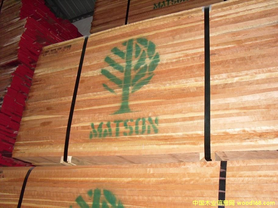 ����(gu��)����ľ