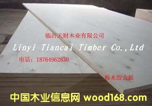 3mm���A���Ԕ��(x��)��B