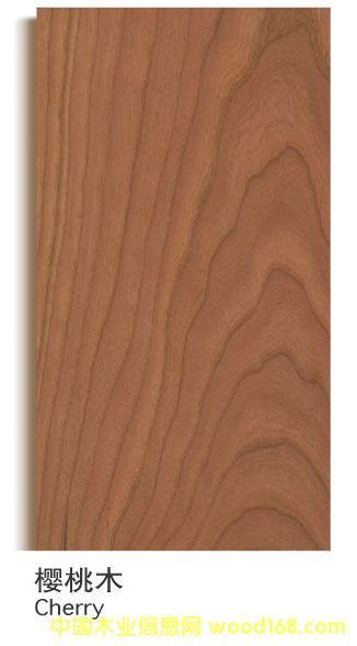 �������Ҍ�ľ�ͺϵذ�