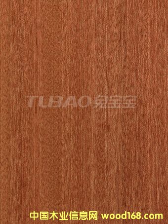 ɳ����ֱ�ySAPELI��Ԕ��(x��)��B