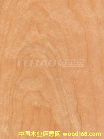 ����ɽ�yCHERRY��Ԕ��(x��)��B