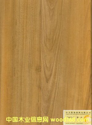 ZD9933-3��Ԕ��(x��)��B