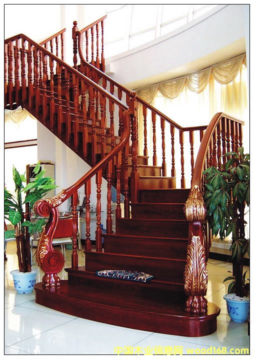 ���ʘ��� ��ľ���� ���m5��Ԕ����B