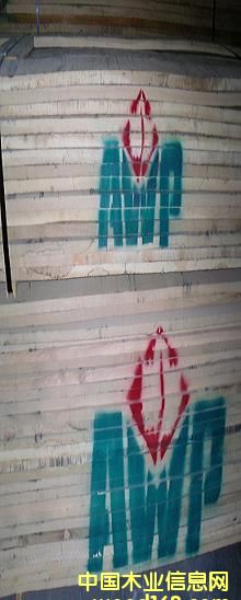 ����ľ��Ԕ����B