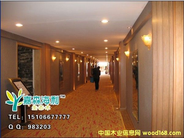 ��ɭ�������B(t��i)ľ����