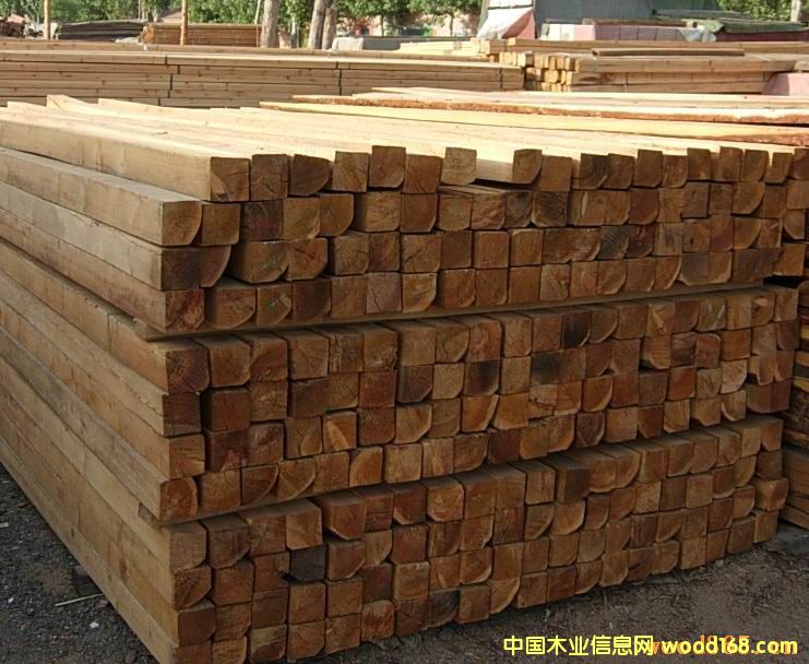 �s,ɼ����ľ��ľ�l��Ԕ����B