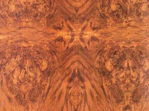 ����ľ��(sh��)���Ԕ��(x��)��B