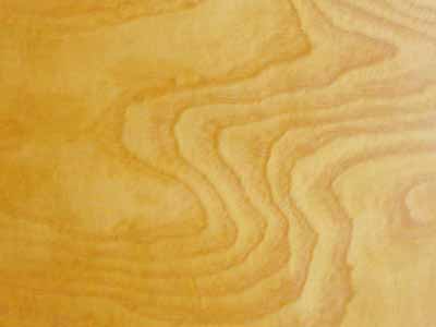 ��˨��(sh��)���Ԕ��(x��)��B