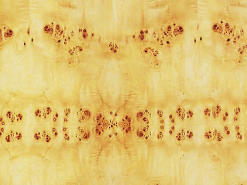 �ח��(sh��)���Ԕ��(x��)��B