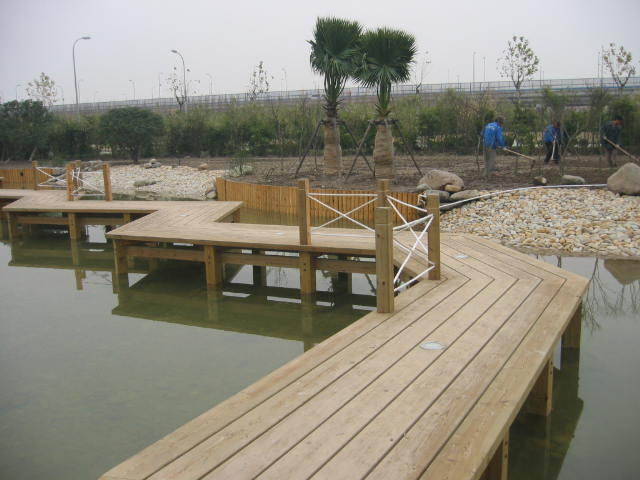 ����ľƽ�_(t��i)��Ԕ��(x��)��B