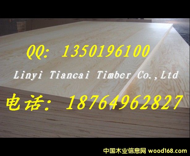 �����T�����z�ϰ����|(zh��)���ɿ����r�����