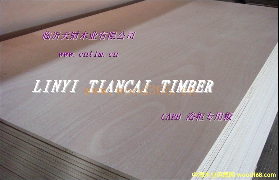 �ͼ�ȩ���|(zh��)��CARB�z�ϰ��Ԕ����B