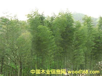 ���Ԕ��(x��)��B