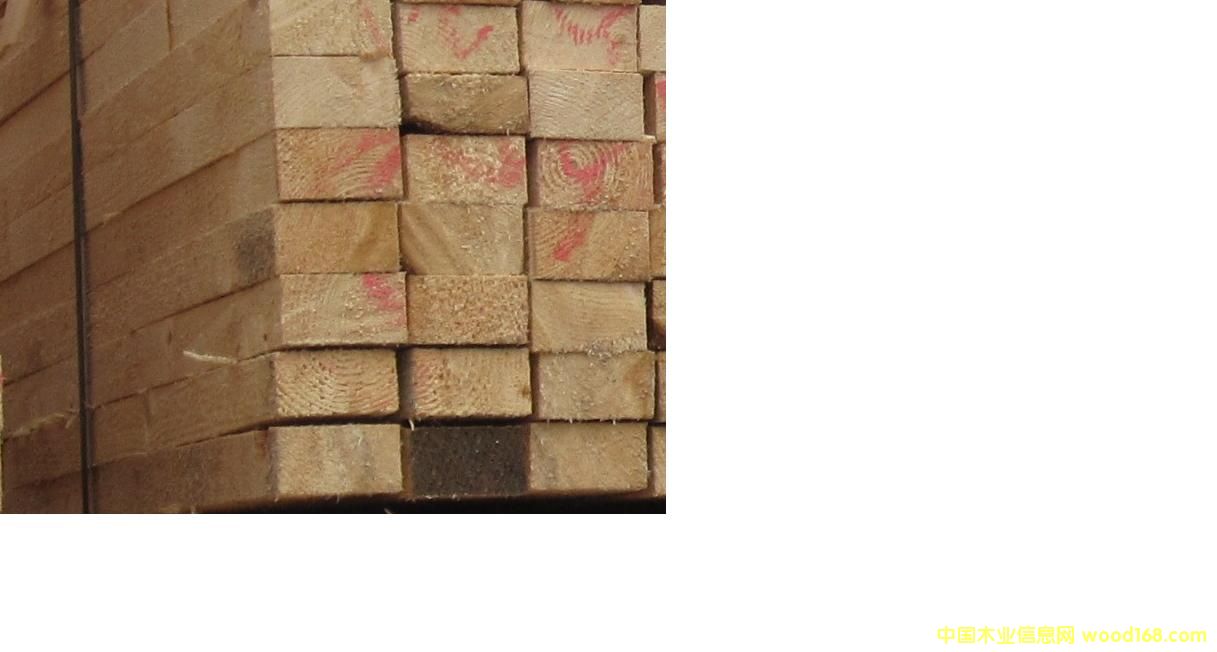 �Fɼ����ɼ��Ԕ��(x��)��B