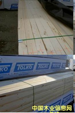 ����(y��ng)SPF�������ɣ��tѩ�ɣ��Fɼ�������ɣ��ȵ�