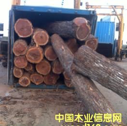 �t�F����CHANATO����Ԕ��(x��)��B