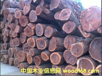 ������֦��Ԕ��(x��)��B