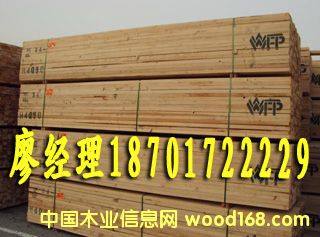 �Fɼ��Ԕ��(x��)��B