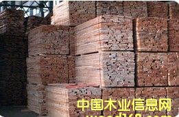 �W�ޙ�ľ����ľë���Ԕ��(x��)��B