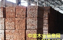 �W�ޙ�ľ����ľ��ĵ�Ԕ��(x��)��B