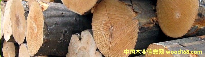 �W�ޙ�ľ����ľԭľ��Ԕ��(x��)��B