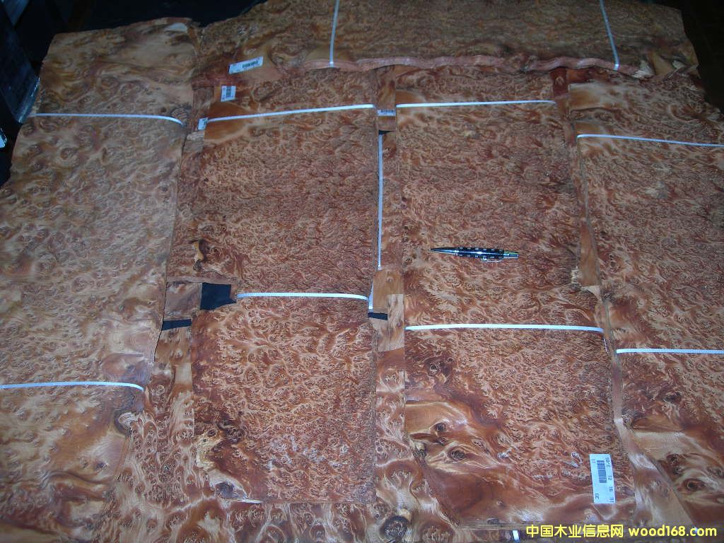 �����(sh��)����THUYA BURL