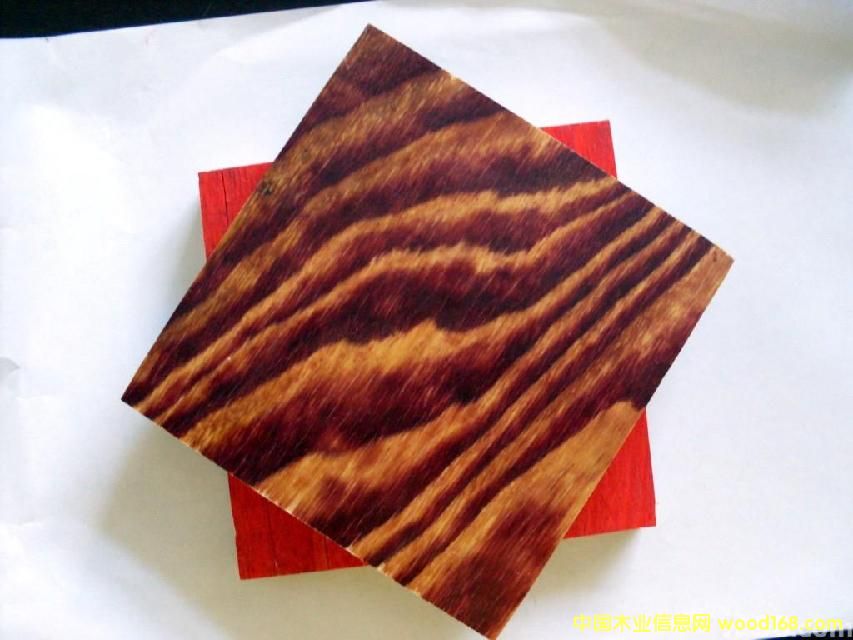 ����ľģ���Ԕ��(x��)��B