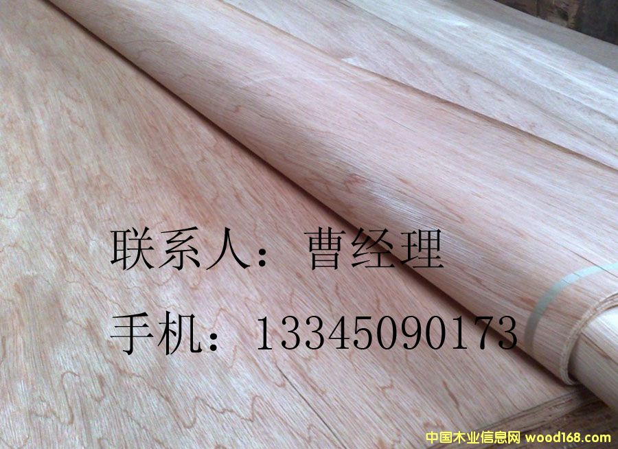 ���ǹ��ΰ�