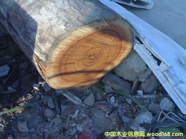 ��ľ1��Ԕ��(x��)��B