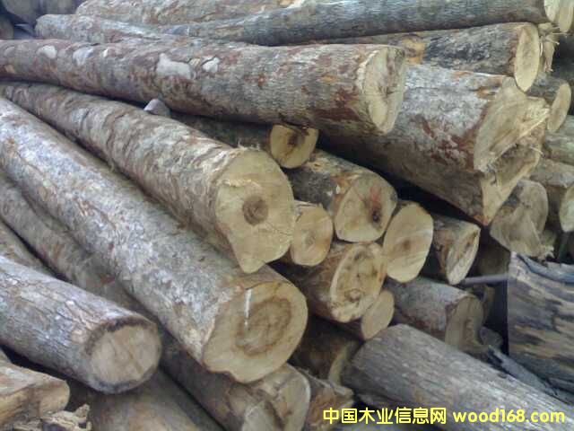 ɽ����ľ��Ԕ��(x��)��B