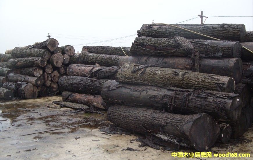 �ں���ԭľ��Ԕ��(x��)��B