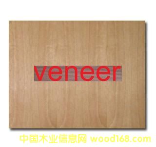 �������b����/����/�N���fa019