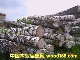 ���_˹��ľ��Ԕ����B