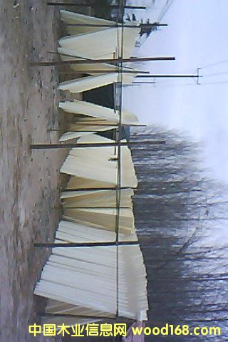 Ư�ח�ľ��Ƥ��Ԕ����B