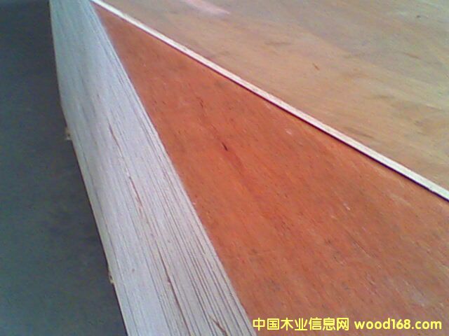 ���ǹ��z�ϰ��Ԕ��(x��)��B