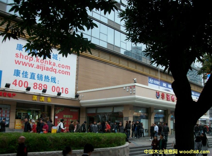 ���ڌ���ʢ���B(t��i)ľ��Ԕ��(x��)��B