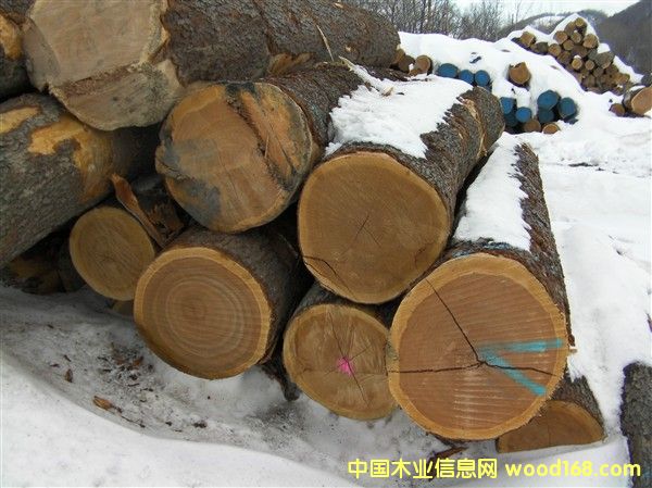 ��������ľ��Ԕ��(x��)��B